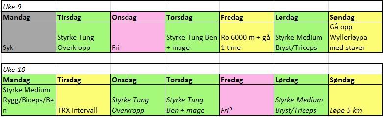 treningsprogram formbilder