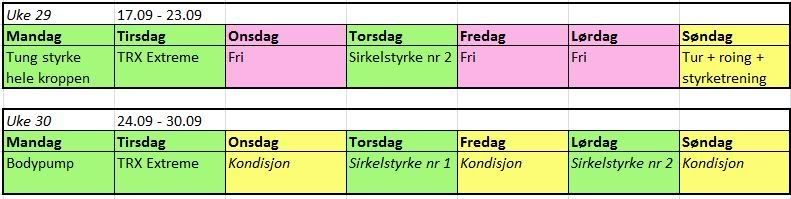 treningsdagbok