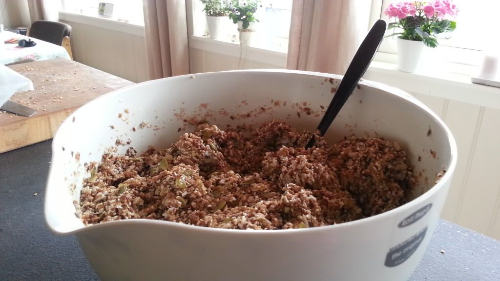 lavkarbo knekkebrød
