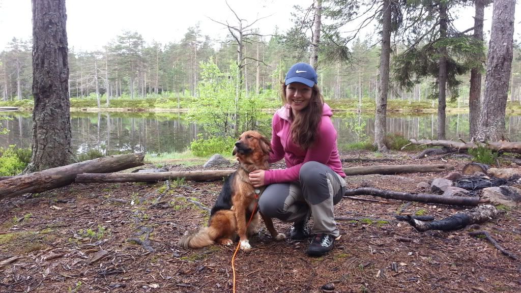 telte med hund