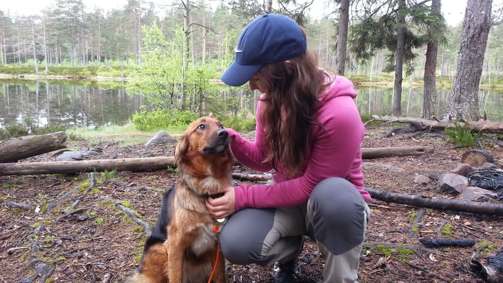 telte med hund