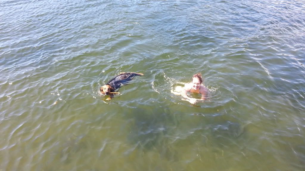 bade med hund