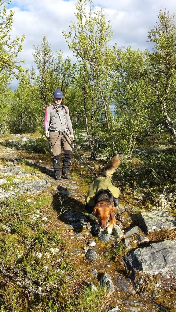 eldåbu dnt