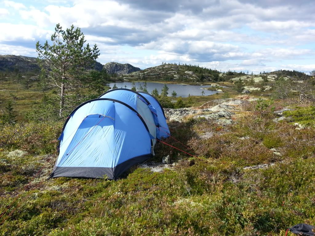 treningsblogg