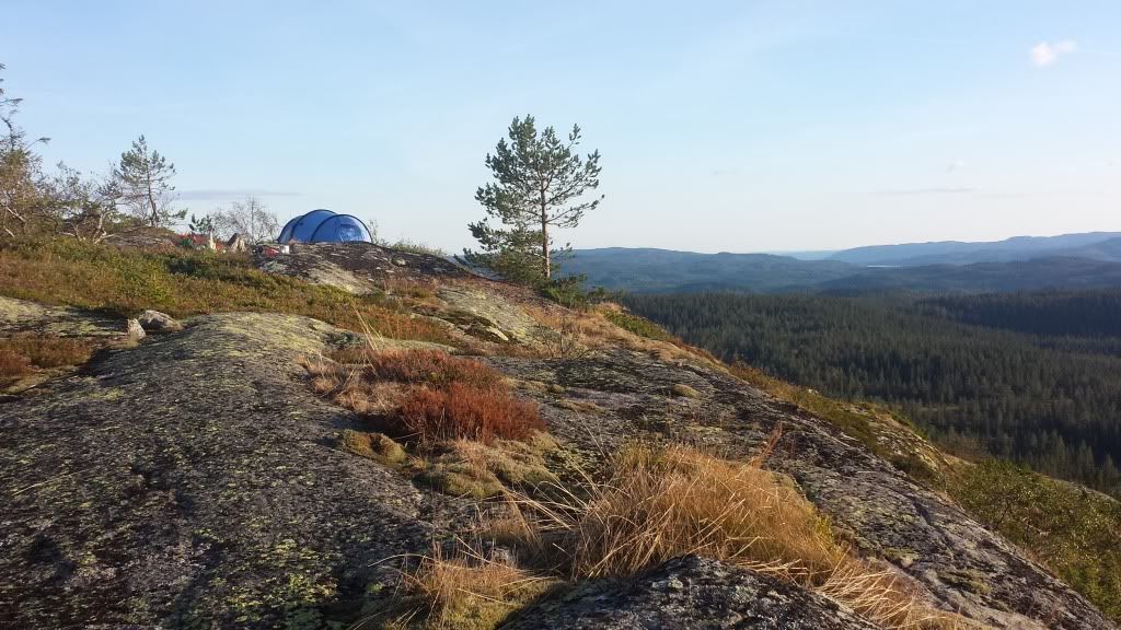 treningsblogg