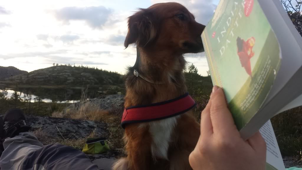 treningsblogg
