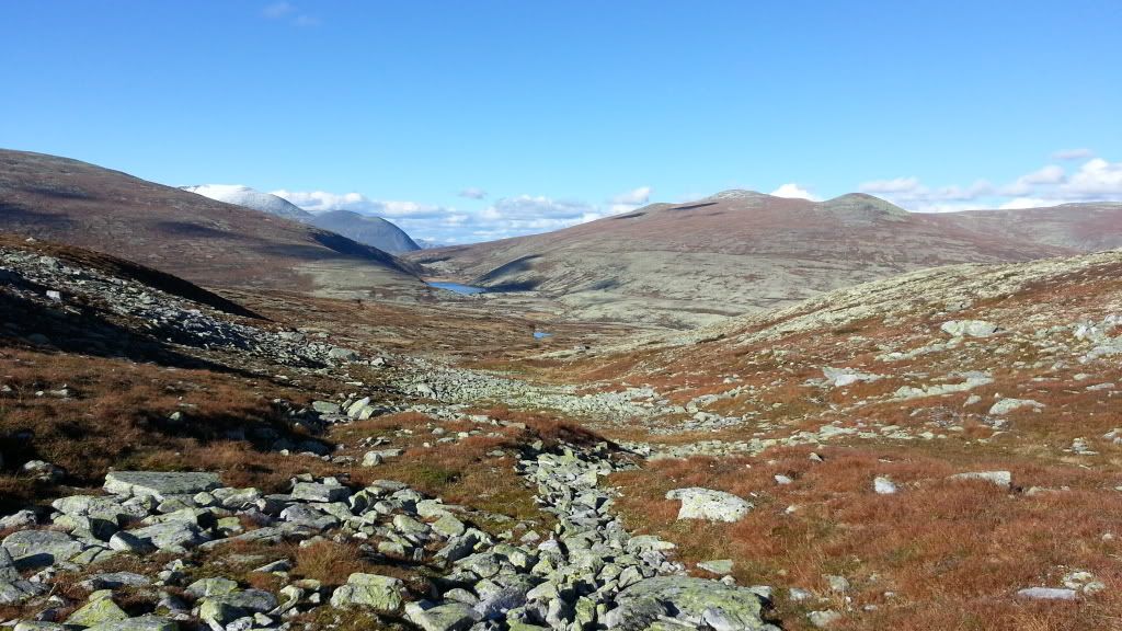 rypejakt rondane
