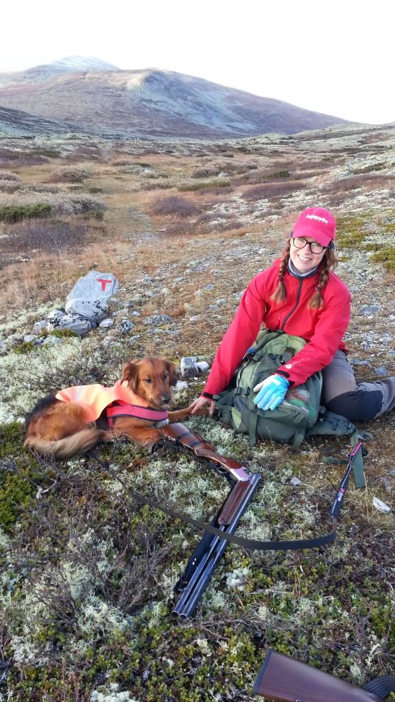 rypejakt rondane