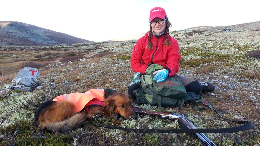 rypejakt rondane
