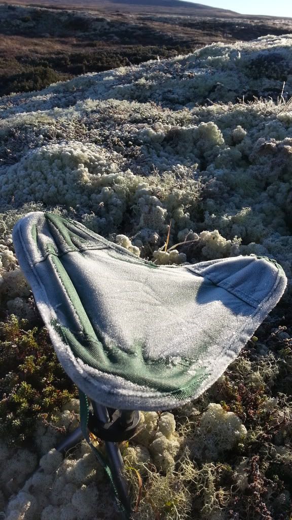 rypejakt rondane