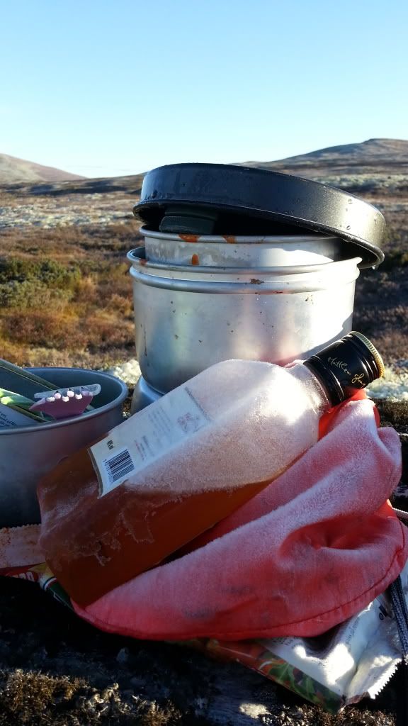 rypejakt rondane