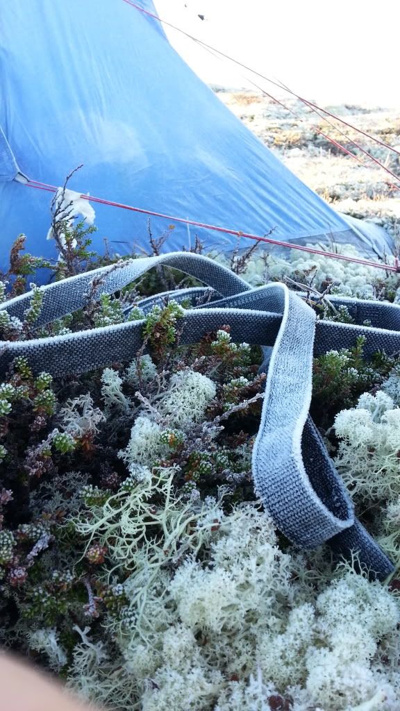 rypejakt rondane