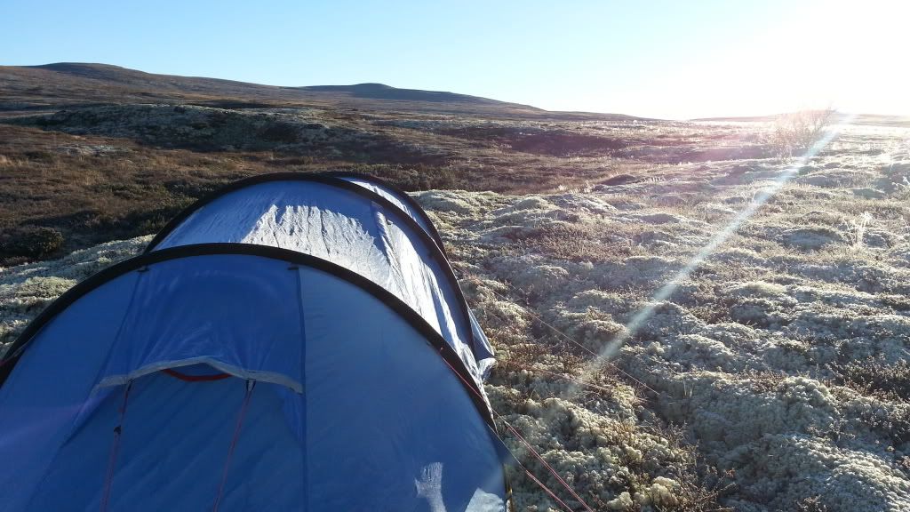 rypejakt rondane