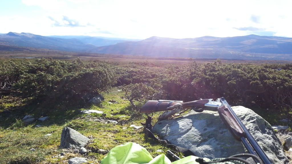 rypejakt rondane