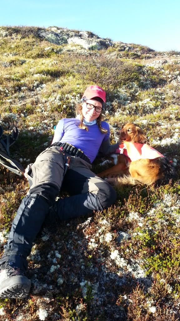 rypejakt rondane