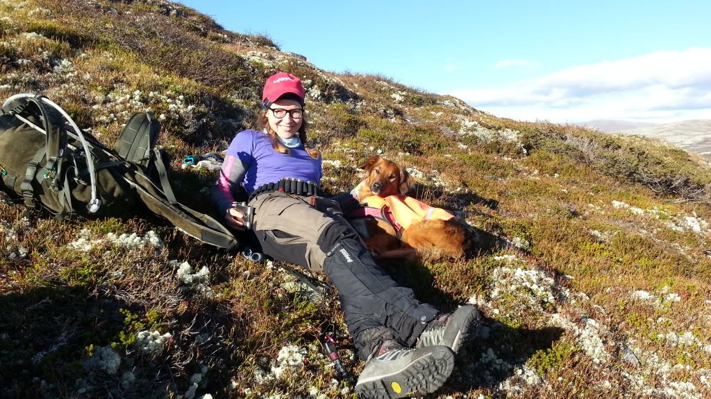 rypejakt rondane