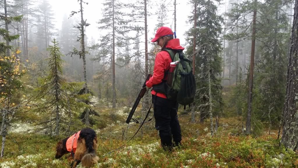 småviltjakt i trysil