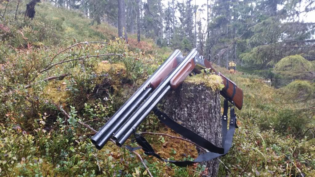 småviltjakt i trysil