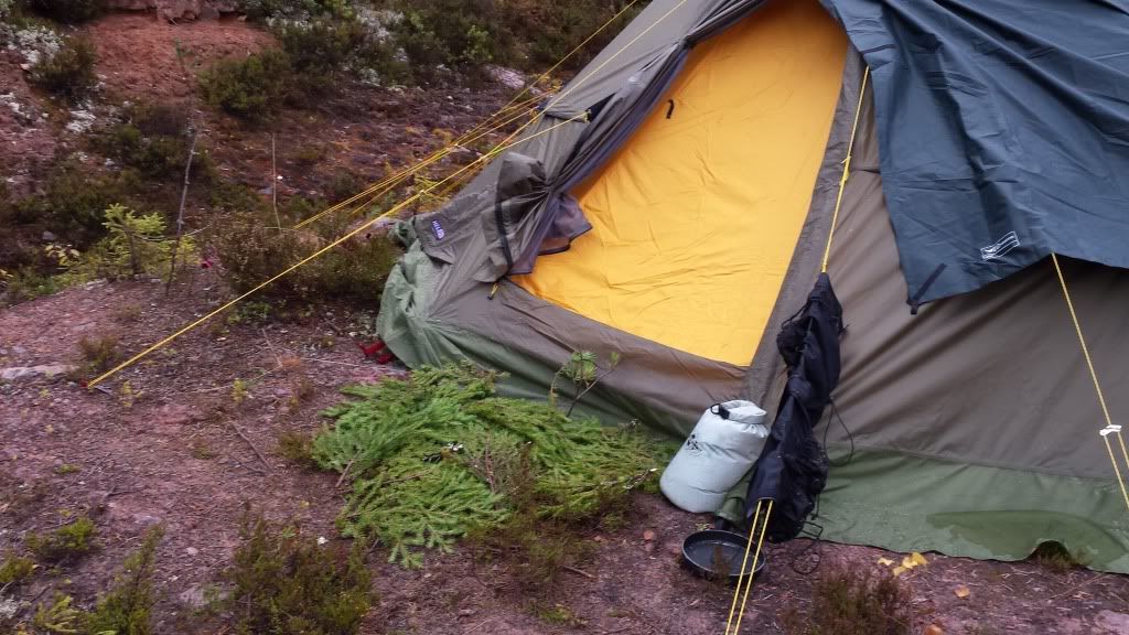 småviltjakt i trysil