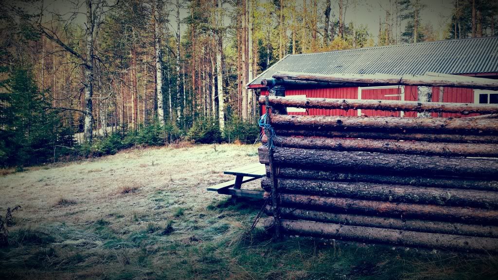 jaktcamp hedmark