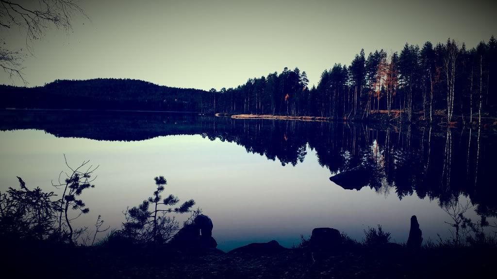 jaktcamp hedmark