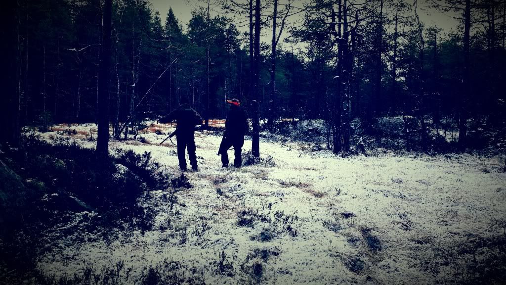 jaktcamp hedmark