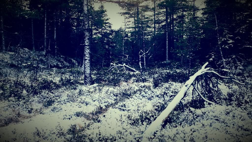 jaktcamp hedmark
