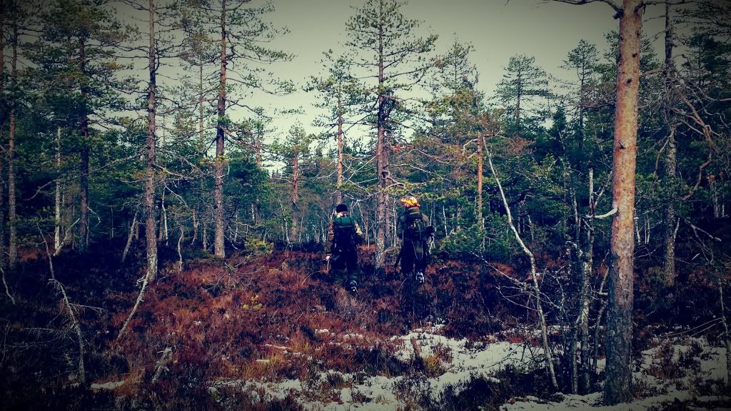 jaktcamp hedmark