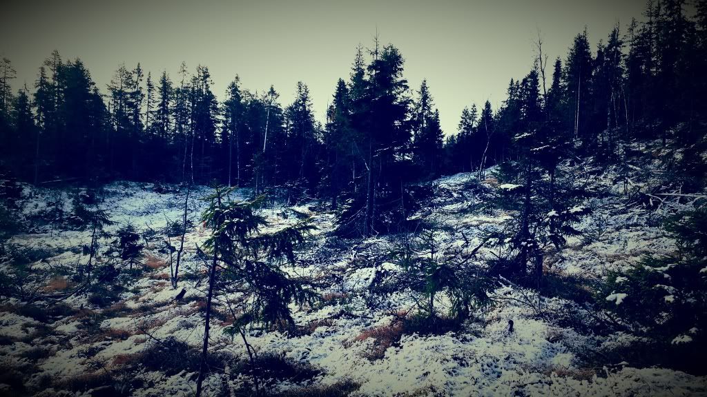 jaktcamp hedmark