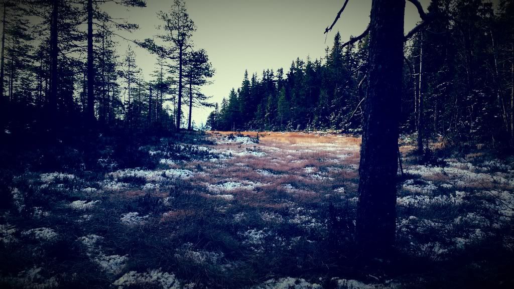jaktcamp hedmark