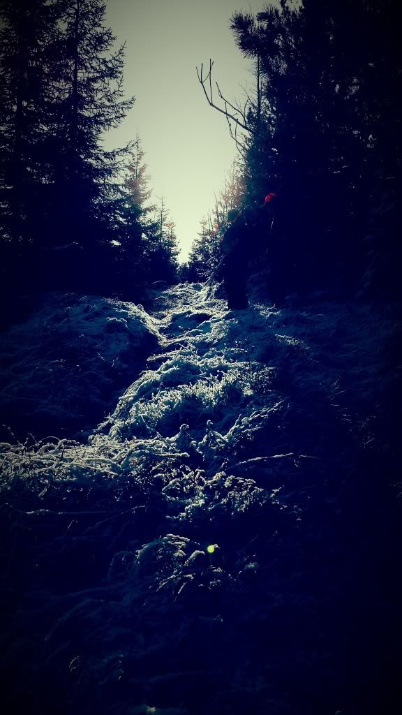 jaktcamp hedmark