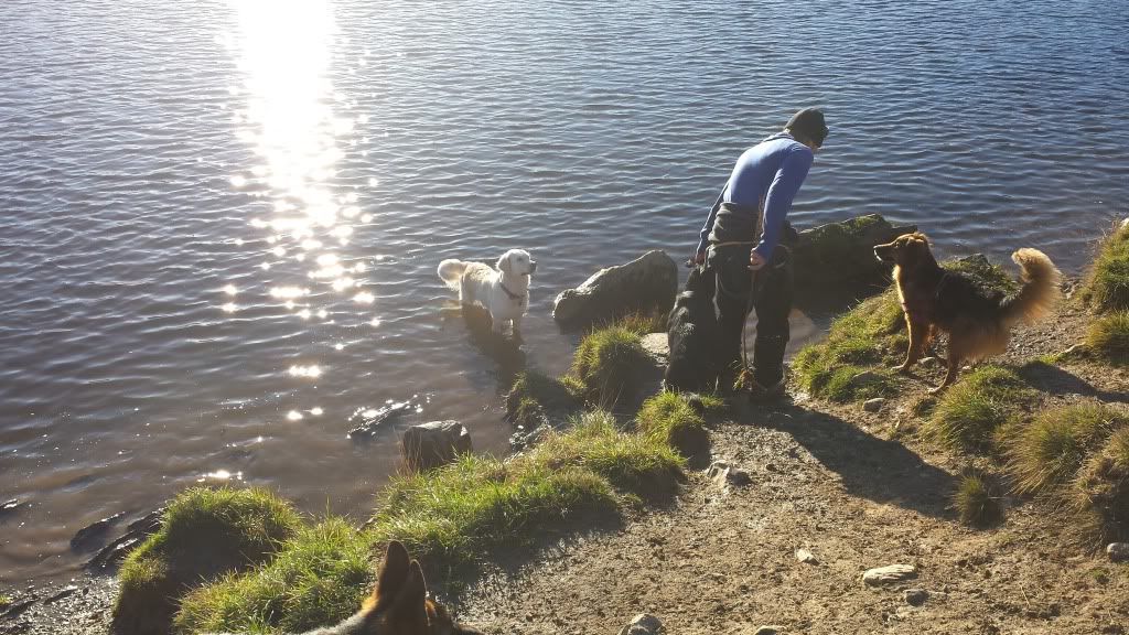 hundeslipp