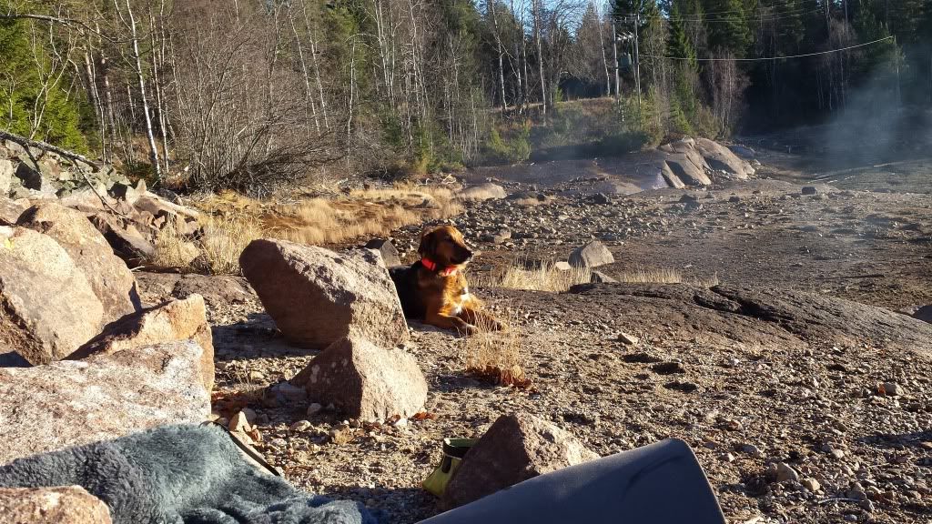 jakt og fiske