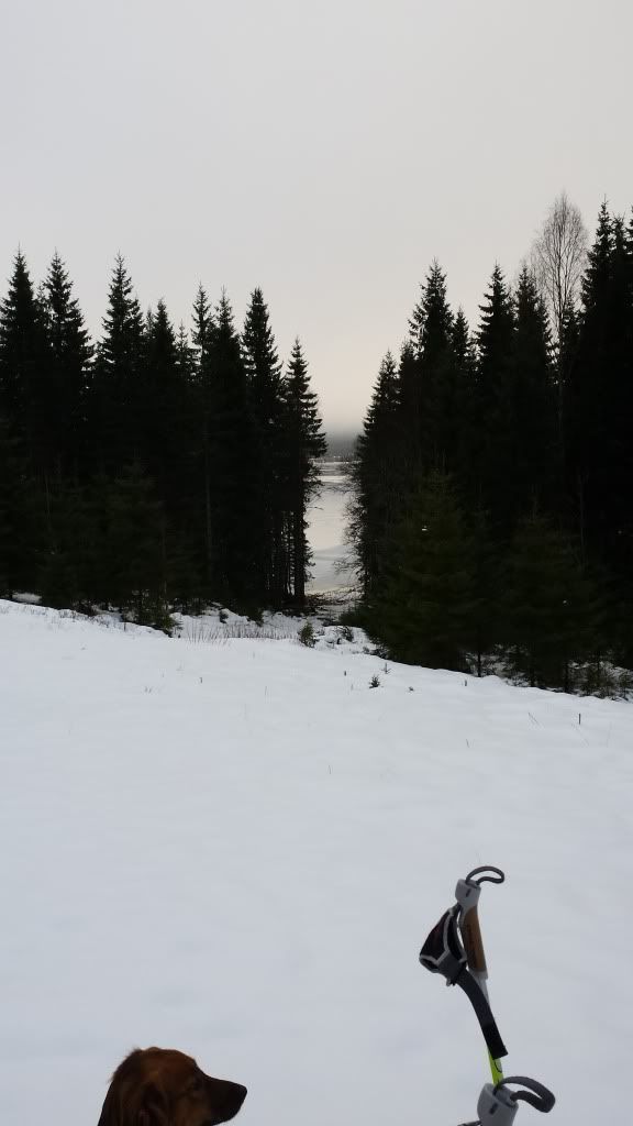langrenn svartbekken