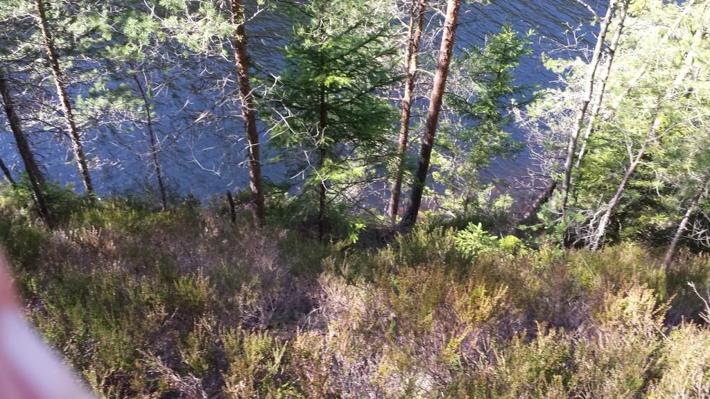 fiske i hurum