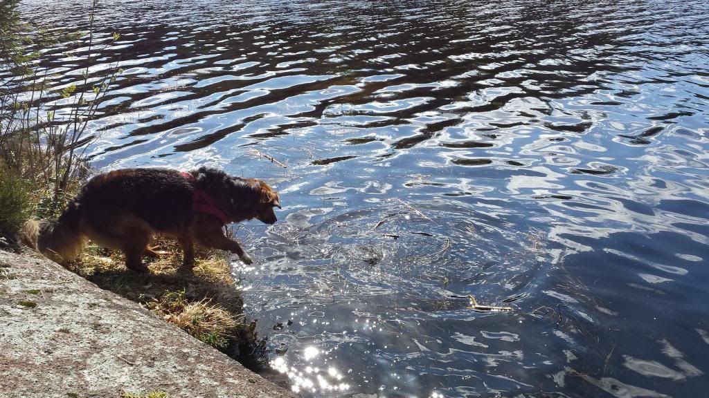 fiske i hurum