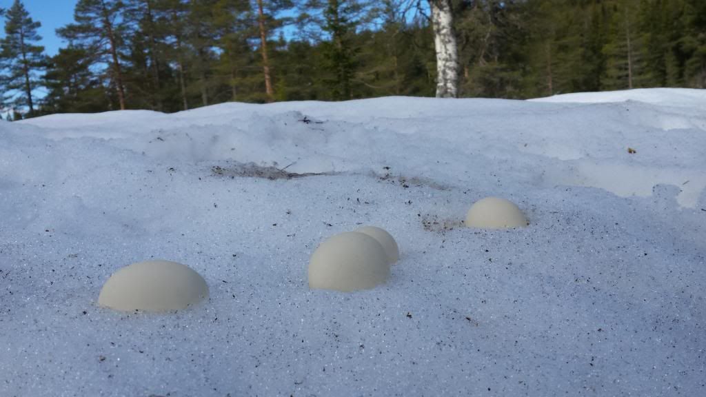 fiske i norefjell