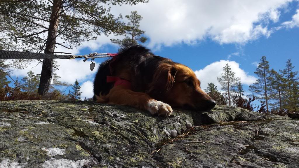 fiske i norefjell