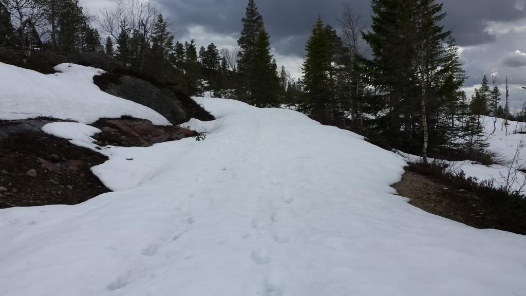 fiske i norefjell