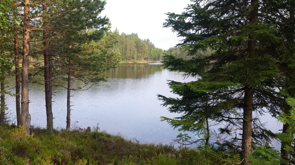 fisketur