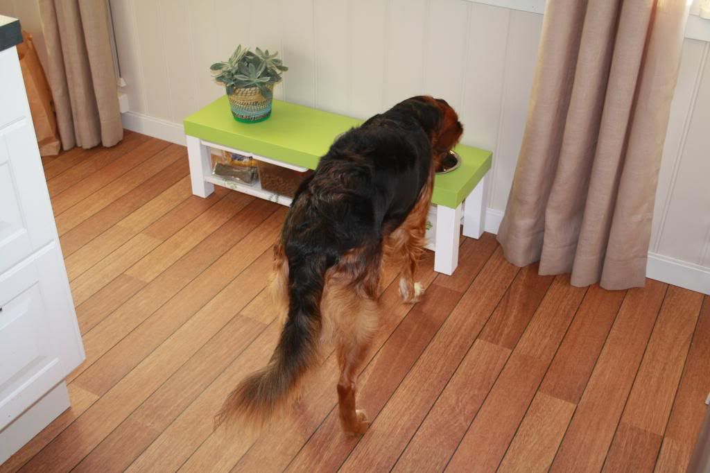 diy doggie diner