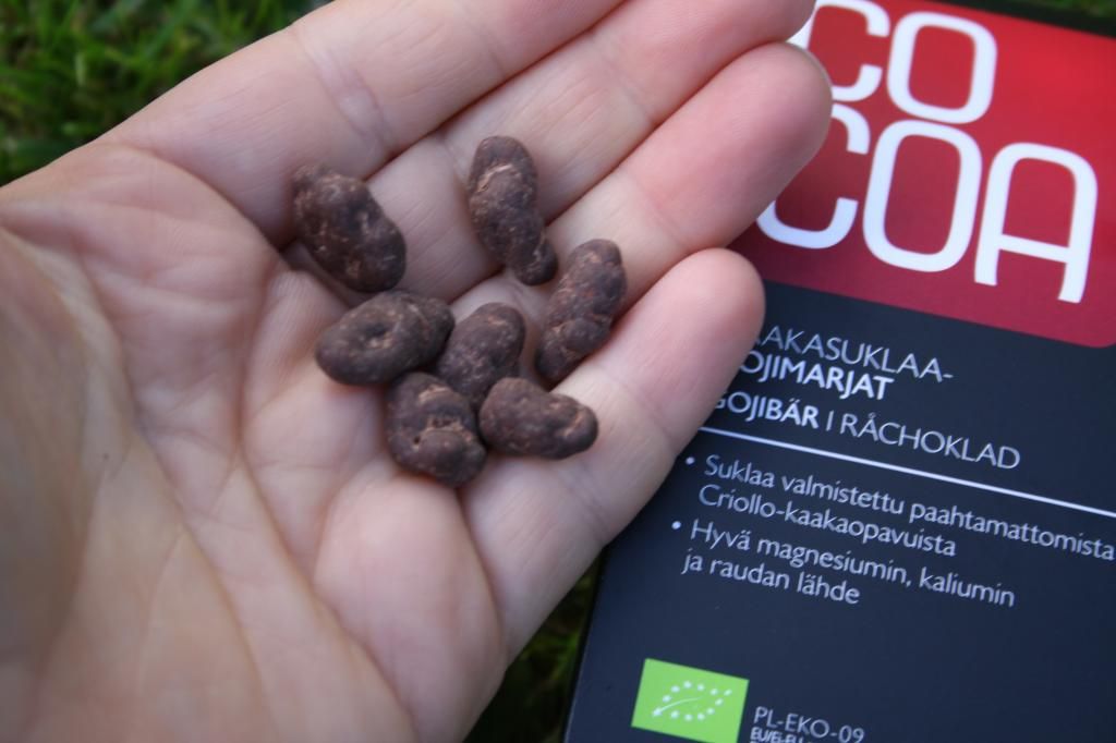 økologisk sjokolade