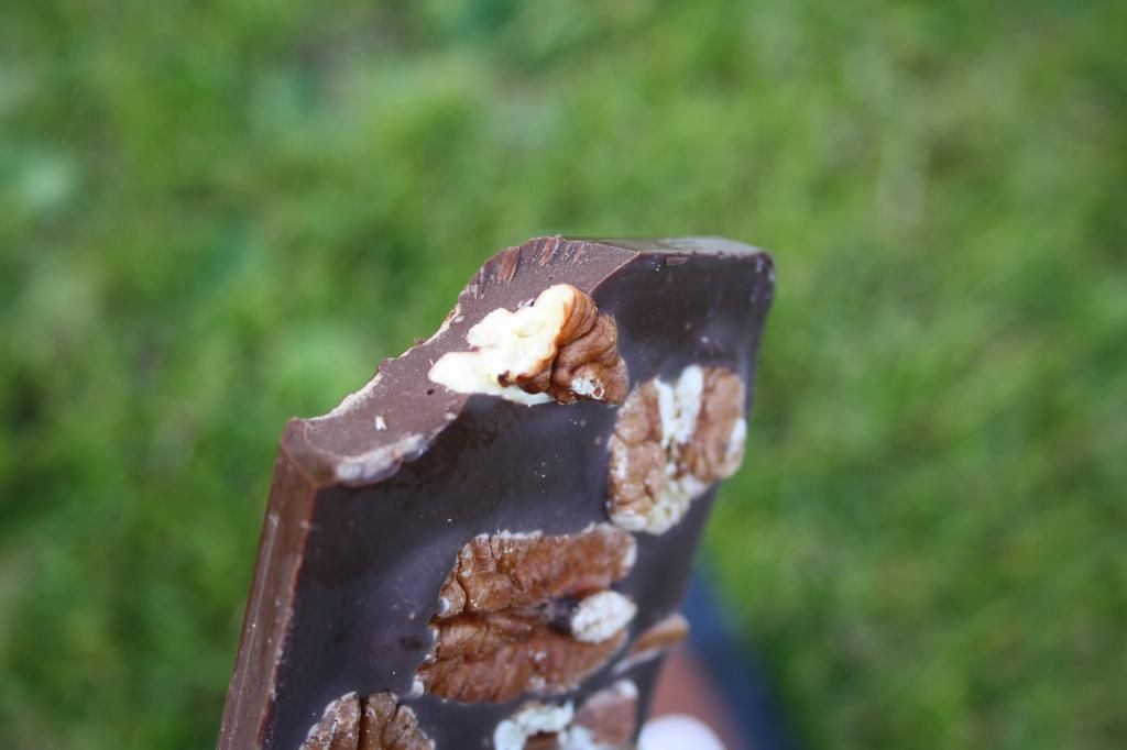 økologisk sjokolade