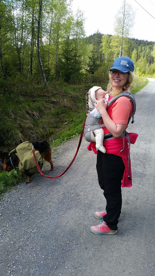 ergobaby 360