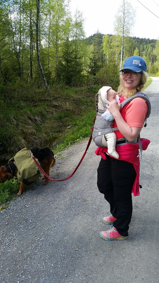 ergobaby 360