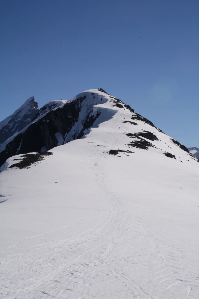 topptur blånebba romsdalen