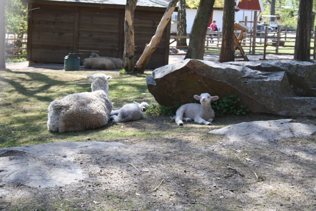 skansen