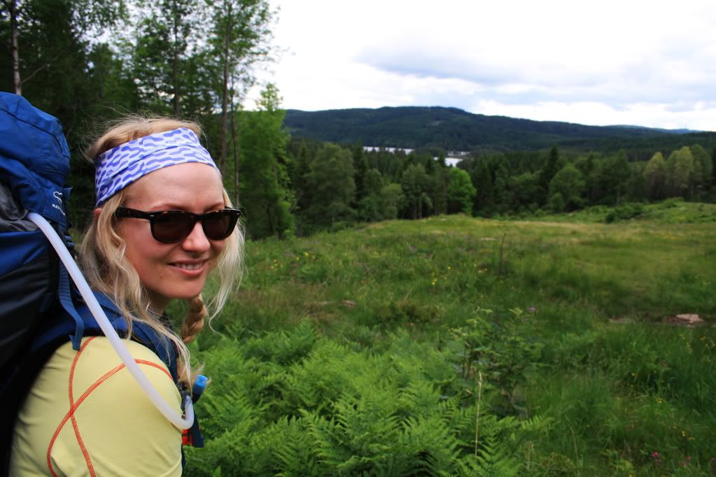 jotunheimstien