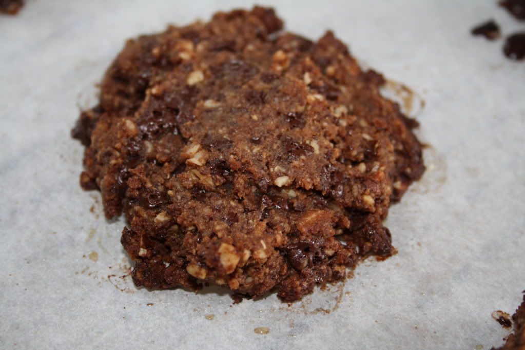 lchf chocolate chip cookies