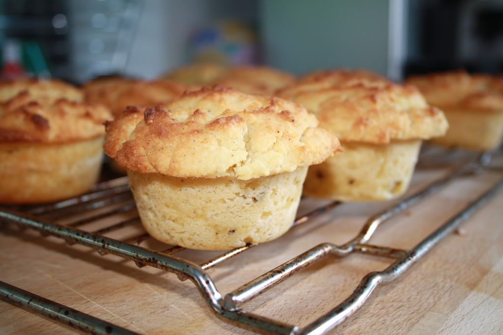 lchf lavkarbo cupcakes muffins